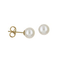 9ct Yellow Gold Freshwater Pearl Studs