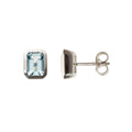 9ct White Gold Blue Topaz Stud Earrings