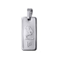 Fine Silver Leo Zodiac Pendant