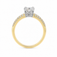 18ct Yellow & White Gold Natural Diamond Engagement Ring