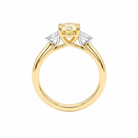 The Alexandra | 1.35ct Oval Natural Mined Yellow Trilogy Engagement Ring