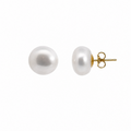 9ct Yellow Gold Button Pearl Studs