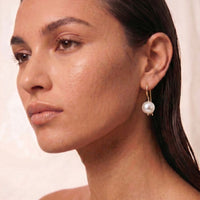 9ct Yellow Gold Freshwater Pearl Euro Ball Earrings