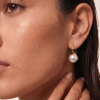 9ct Yellow Gold Freshwater Pearl Drop Earrings
