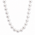 9ct Yellow Gold White Freshwater Seed Pearl Necklace