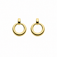 Najo Mist Yellow Gold Plated Drop Earrings