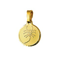 9ct Yellow Gold Round Zodiac Pendant Scorpio