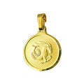 9ct Yellow Gold Round Zodiac Capricorn