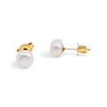 9ct Yellow Gold Freshwater Button Pearl Studs