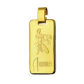 Aquarius | 9ct Yellow Gold Rectangular Zodiac Pendant
