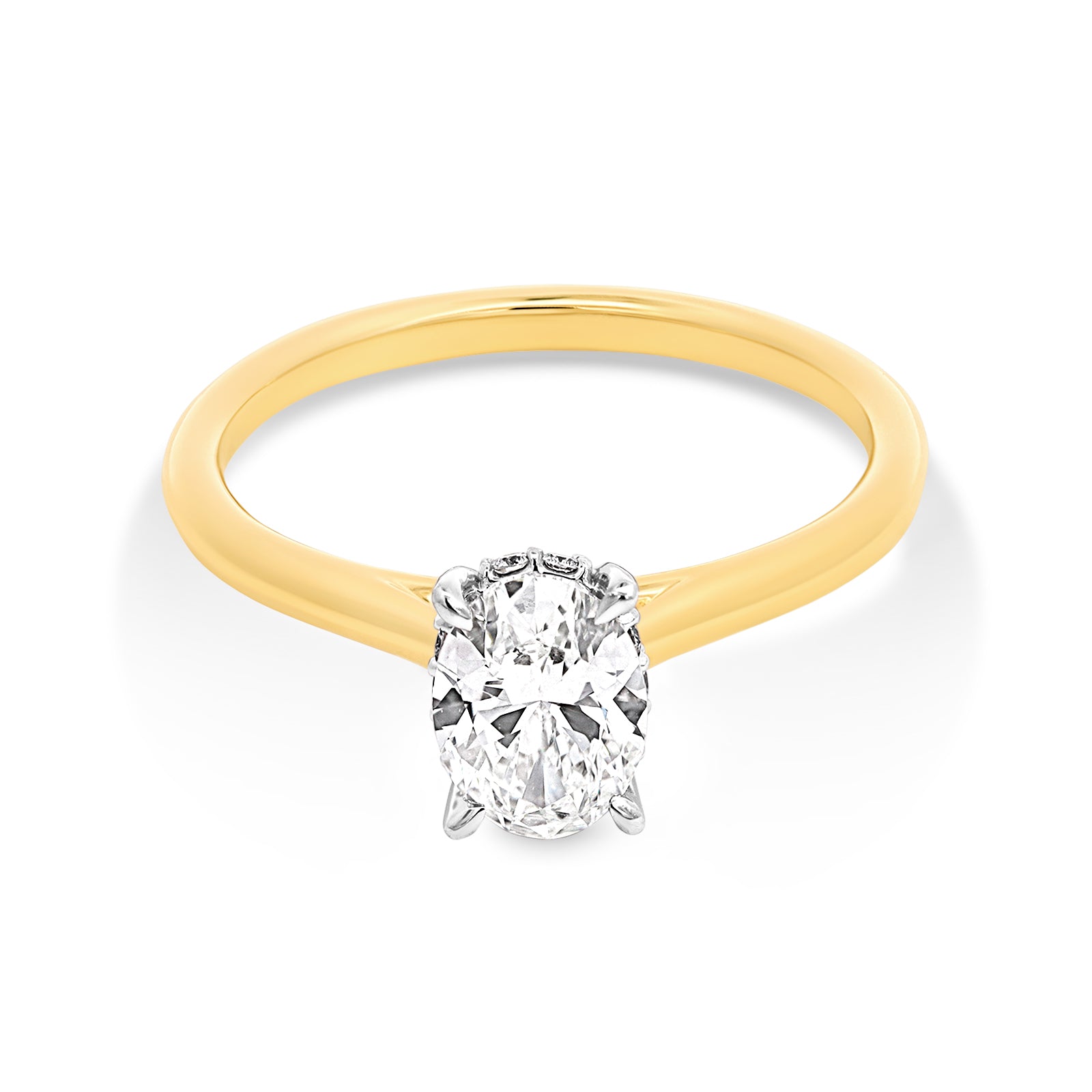 Coast Diamond Diamond Engagement Ring 001-140-00023 | Mari Lou's Fine  Jewelry | Orland Park, IL