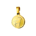 9ct Yellow Gold 12mm Round Zodiac Capricorn